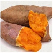 富润世 黄河沙地红薯蜜薯 净重5斤装