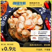 海猛生鲜 鲜活熟冻扇贝肉 500g*3件 4.9好评 拍3件49.8元包邮