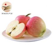 移动专享：振豫 嘎啦苹果 10斤