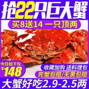 ￥148 六月黄大闸蟹螃蟹鲜活 买8送14只