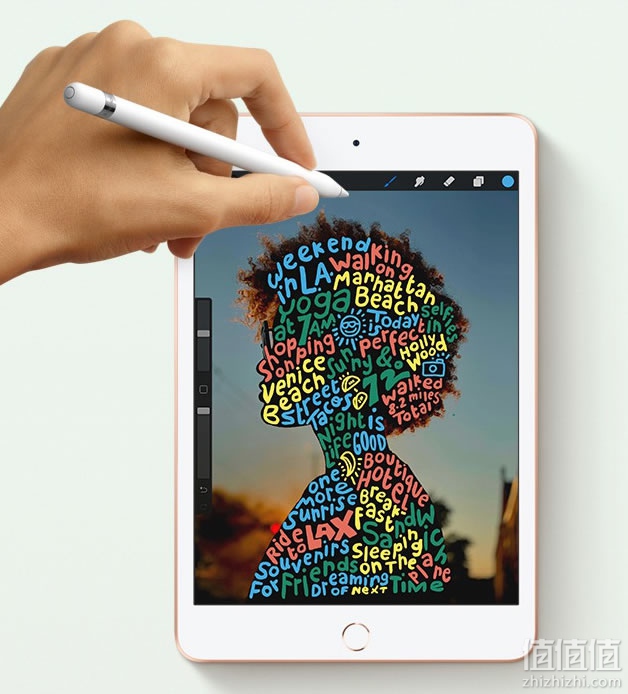 Apple iPad mini 5平板电脑