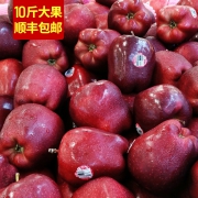 ￥28.8 甘肃花牛苹果水果10斤