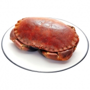 WECOOK 味库 鲜活面包蟹 400-600g *4件 235.2元包邮（双重优惠）