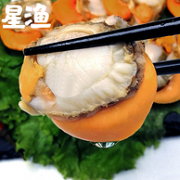 史低！3斤 黄多 坏单包赔：星渔 去壳大扇贝肉