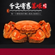 莹透 3888型大闸蟹礼券 公5两5只+母4两5只 券后88元包邮