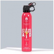 援邦 车载水基型灭火器 525ml