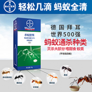 连环灭杀各种蚂蚁：Bayer 拜耳 拜灭易 杀蚂蚁胶饵 20g 券后19.9元包邮