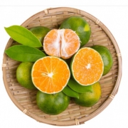 稀洛柯（XILUOKE） 宜昌无核蜜桔 净重5斤装 9.99元（需用券）