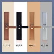 凌仕 DHT-H33 家用指纹锁