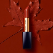 ESTEE LAUDER 雅诗兰黛 倾慕唇膏口红 3.5g #333 干枫叶色 *2件