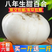 29.80元包邮！陇卉 兰州新鲜百合500g*2件 买一斤送一斤