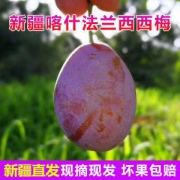 现货 传说中的奇迹果 新疆西梅中的贵族 喀什法兰西西梅 带箱5斤 无脂肪不发胖