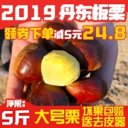 大溪里 东北现摘生板栗5斤24.8元包邮（需领券）