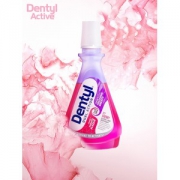 邓特艾克 DentylActive 漱口水 500ml