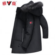 雅鹿 男士 中长款羽绒服 399元包邮