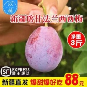 传说中的奇迹果 新疆西梅中的贵族 喀什法兰西西梅 净重3斤 无脂肪不发胖