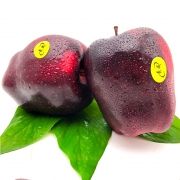 羲成 天水花牛苹果 带箱10斤 19.8元包邮（需用券）