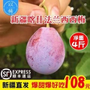 传说中的奇迹果 新疆西梅中的贵族 喀什法兰西西梅 净重4斤 无脂肪不发胖