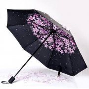 2日10点：韩宁 全自动三折黑胶伞 晴雨两用