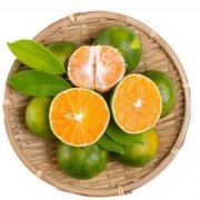 稀洛柯 宜昌蜜桔 带箱5斤
