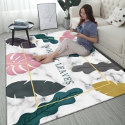 ￥6.9 北欧地毯茶几毯 40x120cm