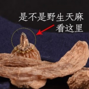 一品森 长白山野生天麻 250g