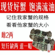 丰收蟹庄 现货 鲜活大闸蟹 全母蟹6只 单只2-1.7两