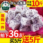 越南白心火龙果新鲜水果包邮当季白肉热带大整带箱10斤 36.8元