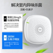 瑞德摩尔 负离子臭氧 去味除醛净化消毒机