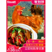百年栗园 散养大公鸡 1.5kg 国家遗传资源保护品种