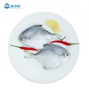 鲸御鲜 活冻海捕鲳鱼 3件共2000g