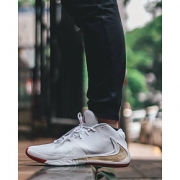 Nike Zoom Freak 1 White/Gold 白/金