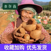 ￥18.8 云南天山雪莲果带箱12斤