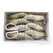 mr seafood 京鲜生 青岛大虾黑虎虾 一盒15只 1000g  *2件 208.00元包邮（需用券）