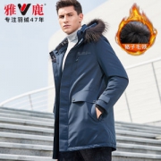雅鹿 男士中长款 连帽羽绒服 90%含绒量 貉子领设计