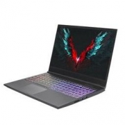 Shinelon 炫龙 T3Ti 15.6英寸游戏本（i7-9750H、16G、512G、GTX1660Ti）