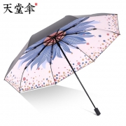 20日21点：天堂 插画手绘风 遮阳晴雨伞 44.5元包邮（前1小时）