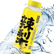 运费券收割机、限华南：旦旦后 辣梨 雪梨汁饮料 390ml *2件 4元（满减优惠）