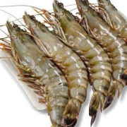渔公码头 越南黑虎虾 单只15-17cm 600g 16-17只 *2件