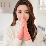 雪恋妮 st-88 女士触屏手套 5.9元包邮（需用券）