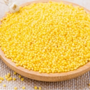 京东PLUS会员：万力睿 山西黄小米 新米500g *5件 16.8元包邮（双重优惠）