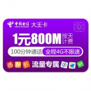 CHINA TELECOM 中国电信 电信大圣卡 全国通用