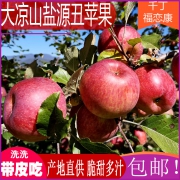 冰糖心红富士大苹果应季现摘带箱10斤
