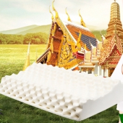 双11预售：ECOLIFELATEX 伊可莱 PT3CS/PT3S 护颈枕 对装 359.1元包邮（需50定金，11号付尾款）