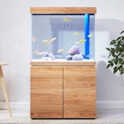 双11预售：Arowana Home 鱼缸水族箱客厅生态鱼缸