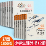 杨红樱系列书 全套校园小说 12册 适合小学生
