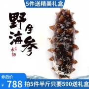 野生 淡干海参50g  可发泡1一斤到一斤半