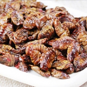 蛋白质含量50%+：庞香斋 即食五香水煮蚕蛹 1.5斤