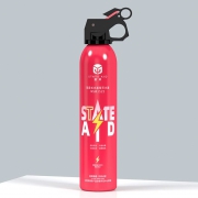 援邦 车载水基型灭火器 525ml  券后9.9元