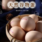 丹源 5A级无抗生素谷物蛋40枚